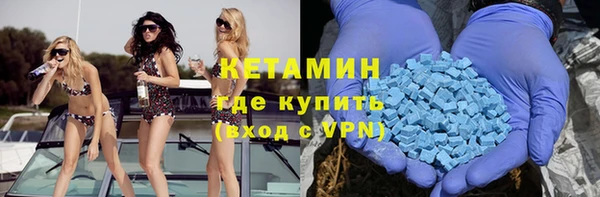 шишки Надым
