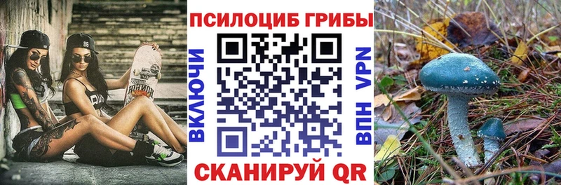 Псилоцибиновые грибы мухоморы  что такое наркотик  Павлово 